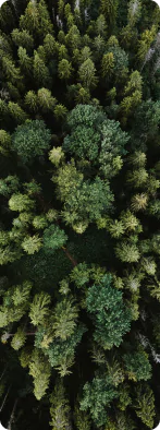 imagem de fundo verde